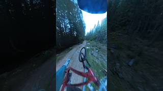 Riding fast in the woods biking mtbwhip steezy thankyou og ogsquad [upl. by Khano]