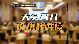 跨国车企价格战熄火，有形之手能否力挽狂澜？ [upl. by Sonitnatsok911]