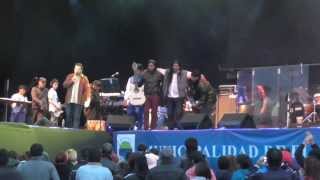 Los Hermanos Calisaya Cantan En La Fiesta Del Lago 2014 [upl. by Amelina]