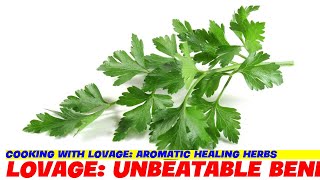 Cooking with Lovage Aromatic Healing Herbs [upl. by Kcirttap]