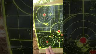 Crosman Premier Domed VS Hades Hollow Point  from the Crosman Icon [upl. by Kirtap]