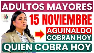 💥¡ADULTOS MAYORES  QUIEN COBRA HOY 15 DE NOVIEMBRE💥 [upl. by Orecul903]