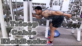 Tricep Cable Kickbacks  Fitness Kensho [upl. by Zosema679]