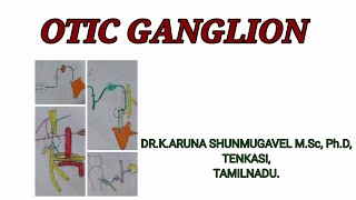 Otic ganglion  Location  Roots  Development  Clinical Anatomy  Animated video [upl. by Magee296]