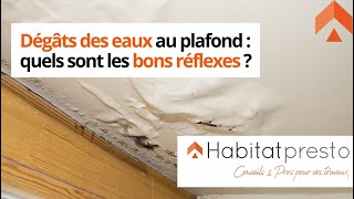 Dégâts des eaux au plafond  quels sont les bons réflexes [upl. by Lanta]