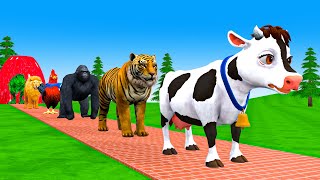 Paint amp Animals CowTigerdinosaurLionElephant Fountain Crossing Transformation Animal Cartoon [upl. by Atimad]