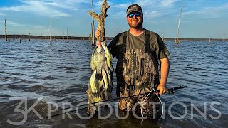 Wading Stump Flats For Mississippi Crappie [upl. by Service]