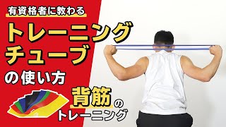 トレーニングチューブの使い方｜背筋のトレーニング【公式】 [upl. by Cyrano389]