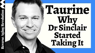 WHY Dr David Sinclair Added TAURINE To His Regimen amp His Dosage [upl. by Suneya]