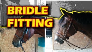 Bridle Fitting Tips for Beginners [upl. by Nahtahoj]