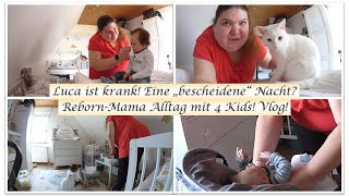 Luca ist Krank  Eine quotbescheidenequot Nacht  Vlog Reborn Baby Deutsch  Little Reborn Nursery [upl. by Granger]