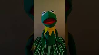 Home made quotKermitquot the frog foam puppet [upl. by Richma]