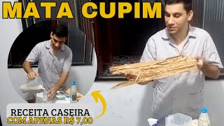 COMO ACABAR COM CUPIM  RECEITA CASEIRA POR APENAS R 700 [upl. by Lemert]