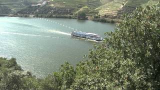 Douro acima da Régua ao Pinhão  parte 2 [upl. by Ellenej]