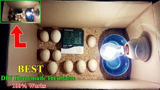 How to Make a Homemade Incubator for Chicken Eggs  Hatching Eggs  DIY Homemade Incubator Easy [upl. by Yrojram]