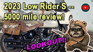 Dodging Ewoks on my 5k 2023 Low Rider S Review Through Scenic Washington [upl. by Alleen]