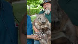 Protecting Australias Iconic Wombat [upl. by Federico374]