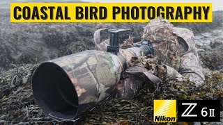 Photographing Coastal Birds in Northern Ireland Full Nikon Z6II Test [upl. by Adiahs]