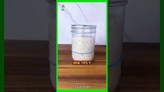 Sourdough Starter Secrets REVEALED [upl. by Little596]