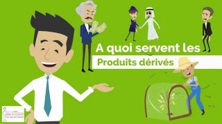 LES PRODUITS DÉRIVÉS  DME [upl. by Bores172]