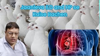 Jaanleva Interstitial Lung Disease ILD and Hypersensitive Pneumonitis se Kaise Bachen pigeon HP [upl. by Bonn628]