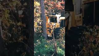 Ultimate Forest Harvesting Machine Beast 17  Extreme Dangerous Big Chainsaw Cutting Tree Machines [upl. by Novyert963]