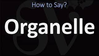 How to Pronounce Organelle CORRECTLY [upl. by Lamond]