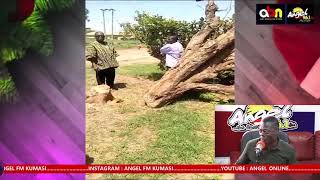 Traditional Historian Nana Sarfo Kantanka gives DEEP DETAILS about Okomfo Anokyes Cola Tree [upl. by Leid359]