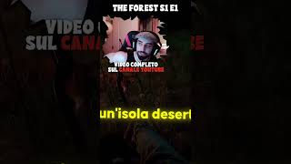 SOPRAVVIVO ad uno SCHIANTO AEREO theforest theforestita theforestgameplay theforestgameplayita [upl. by Eki]