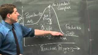 Potential Energy Diagram [upl. by Kaltman]