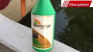 Roundup herbicide  bayer Roundup Glyphosate 41  Sl  roundup  Bayer Roundup herbicide [upl. by Brenner]