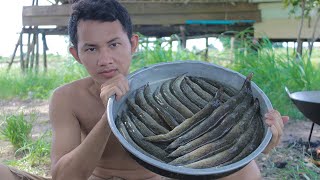 Fried Tasty Macrognathus pancalus With Ginger Recipe  Survival Time [upl. by Ynafit]