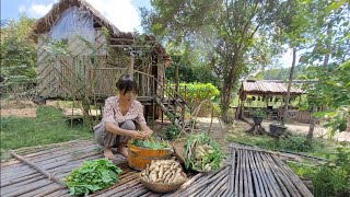 Harvesting radishes and how to store them Live with nature [upl. by Dixil]