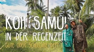 Koh Samui in der Regenzeit November • Thailand • Vlog 263 [upl. by Nnorahs]