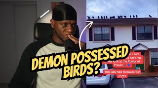 18 Demon Possessed Birds Are Rebuked By A Praying Woman [upl. by Pestana649]