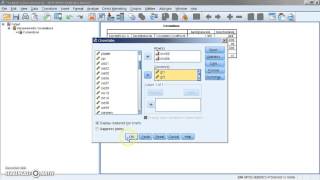 Kendalls tau b correlatiecoëfficiënt met SPSS [upl. by Sonnie]