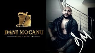 Dani Mocanu  Voi ramane jupan  Official Audio [upl. by Serafine]