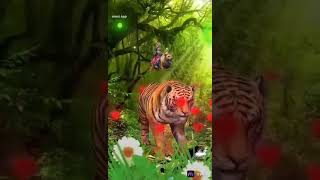 Sare bolo jai mata di🙏🏾views likesharecomment treanding viralshort shortfeed 1mviews 👍🏾 [upl. by Cirda930]