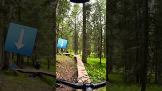 This is a Blue Morzine trails grade different mtb morzine [upl. by Emmerie547]