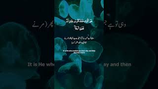 Surah AlAnam  The Cattle  Ayah 14  With Translation  Full Quran 39 [upl. by Nehcterg]