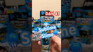 DAY 41  MrBeast Lab Swarms SUBLIME SLIME MrBeast MrBeast [upl. by Llerehs]