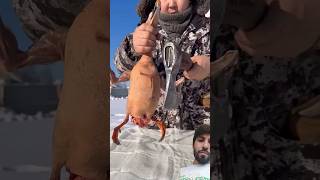 permafrost cooking chicken 🐔 food youtubeshorts [upl. by Atinihc]