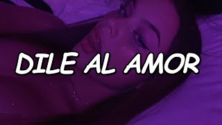 Aventura  Dile Al Amor Official Video Lyric [upl. by Nohsreg538]