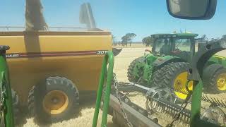 Harvesting barley 2023 farming harvest johndere australia barley [upl. by Olegnad]