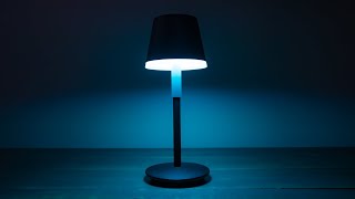 Philips Hue Go Portable Table Lamp Review [upl. by Drannek]