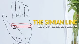 Palmistry  Understanding the SIMIAN line Indecisive amp Extreme Personality [upl. by Lannie]