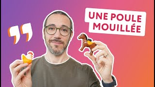 10 expressions avec des animaux [upl. by Otreblaug]