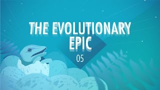 The Evolutionary Epic Crash Course Big History 5 [upl. by Enelrats191]