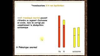 Maladie génétique héréditaire liée aux chromosomes sexuels [upl. by Ititrefen]