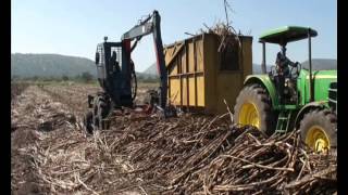 Matriarch ULTECO 5 Sugarcane Loader  Pongola South Africa [upl. by Cavan135]